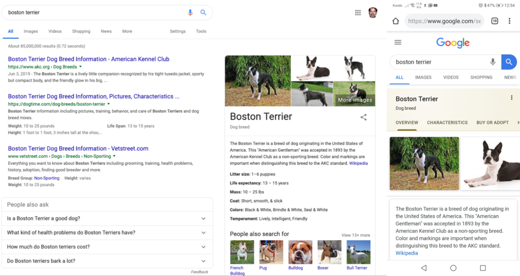 Google's new Topic Layer on mobile and desktop