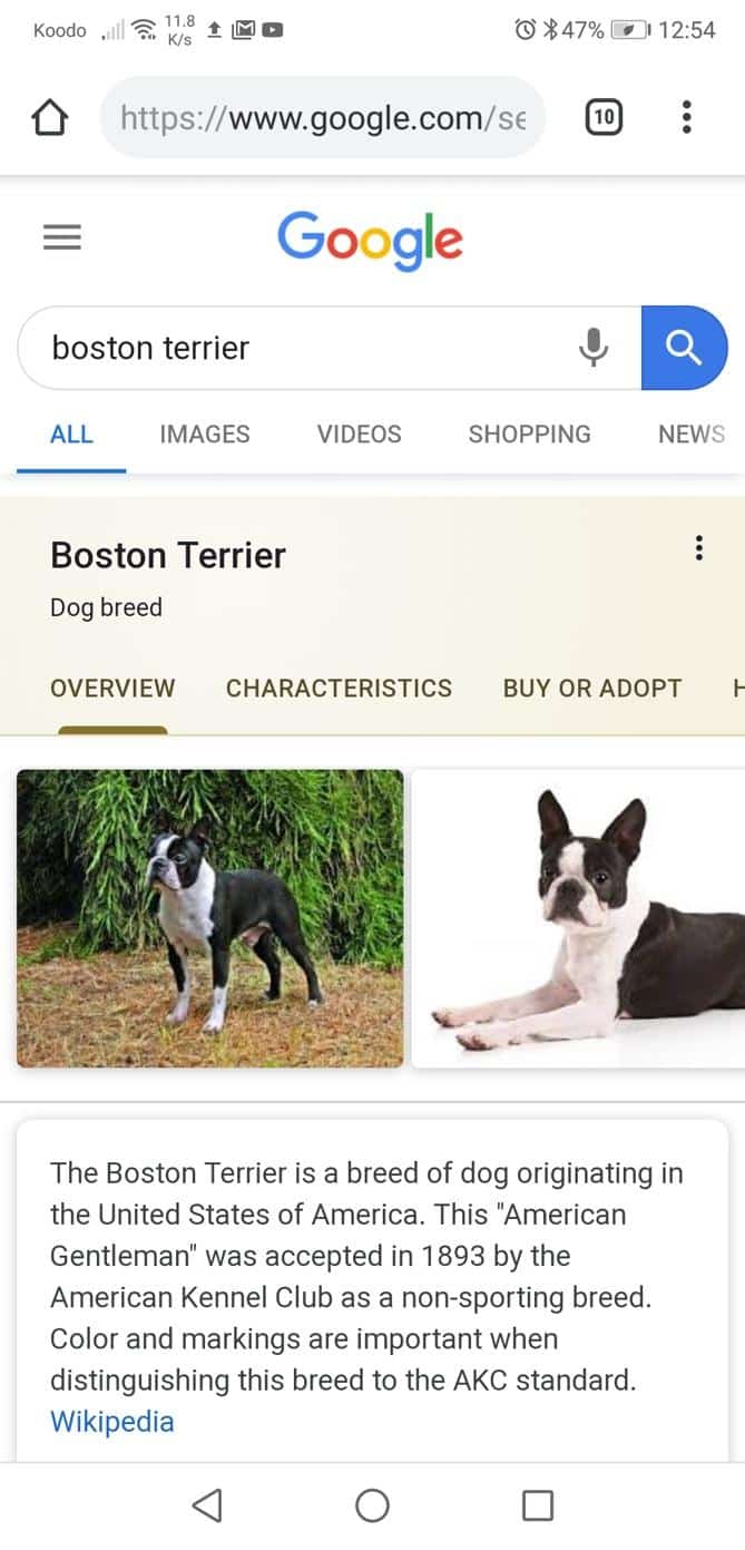 Google's New Topic Layer and Its Impact on Content