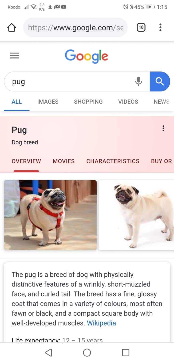 Google's New Topic Layer and Its Impact on Content