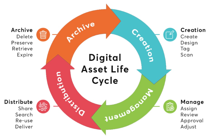 Chart showing the life cycle of digital assets - creation, management, distribution, archive