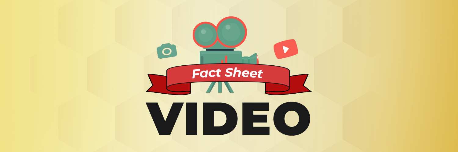 video fact sheet